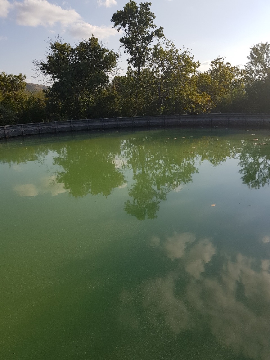 Commercial Property for Sale in Zuurplaat A H North West